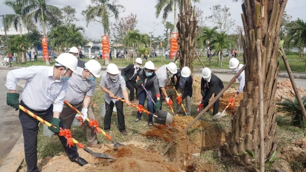 Những cây xanh sẽ mang lại bóng mát cho bệnh viện cũng như tạo cảnh quan xanh tươi, thân thiện với môi trường...
