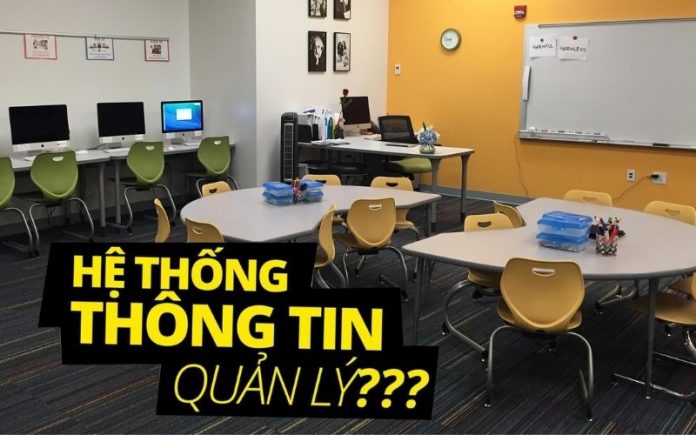 Hệ thống thông tin quản lý – Lương chục triệu là bình thường