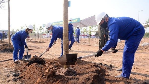 Thành phố Hà Nội phấn đấu năm 2021 trồng được hơn 300.000 cây các loại, đến năm 2030 mỗi người dân Thủ đô trồng một cây xanh.
