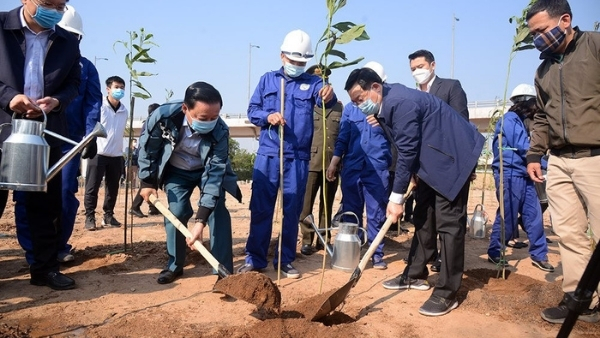 Công nhân Công ty Công viên cây xanh Hà Nội chăm sóc hàng cây mới trồng.
