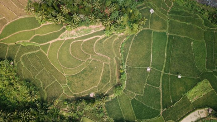 Giải quyết trường hợp người dân lấn chiếm đất như thế nào?