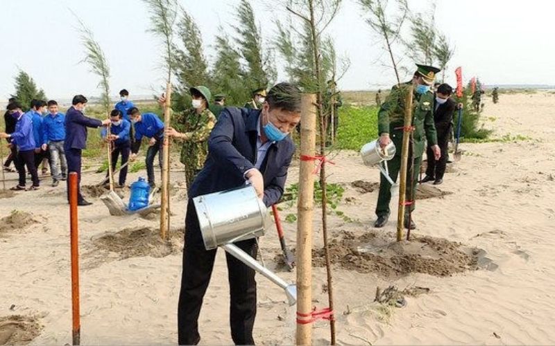 Tỉnh Ninh Bình cùng nhau trồng và phát triển cây xanh theo lời phát động của Chính phủ